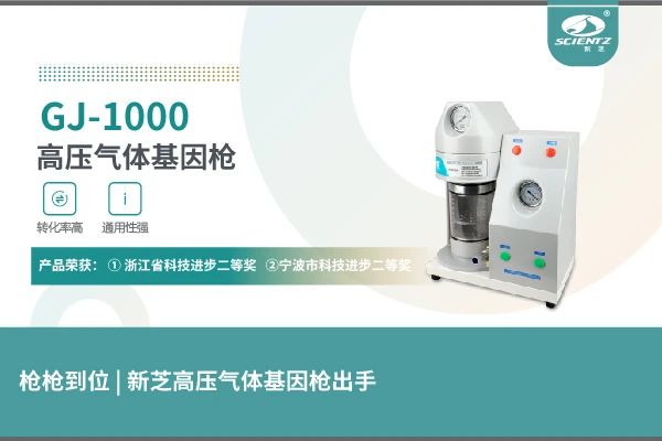 高壓氣體基因槍?xiě)梦⒑私M氨酸在細胞中的定位