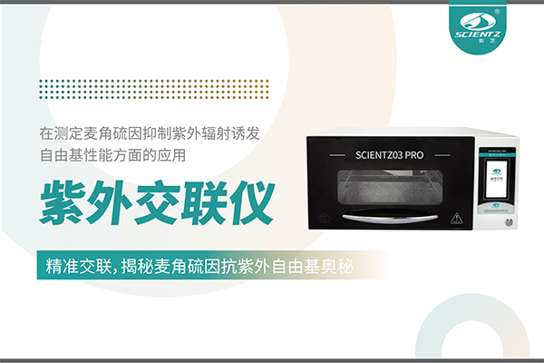 紫外交聯(lián)儀在麥角硫因研究中的創(chuàng  )新應用