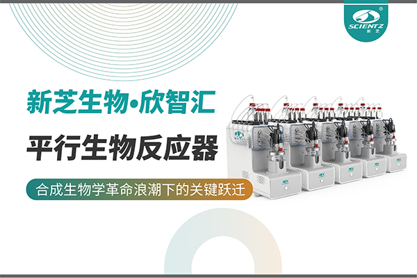 培養菌株和評估工藝參數影響太難太慢？平行生物反應器提供關(guān)鍵解決方案！