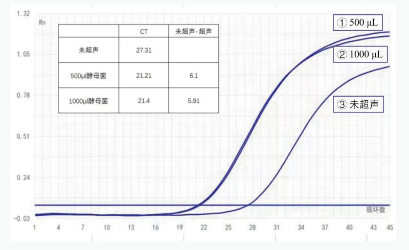 酵母菌樣本超聲破碎后前后擴增循環(huán)數對比