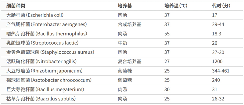 常見(jiàn)的微生物培養