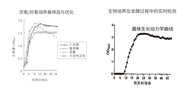 過(guò)程安全，結果精準