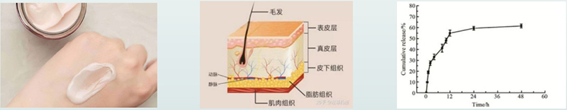 藥物體外透皮釋放試驗過(guò)程