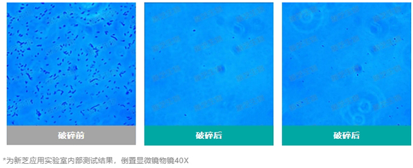 實(shí)驗結果