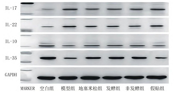 實(shí)驗結果