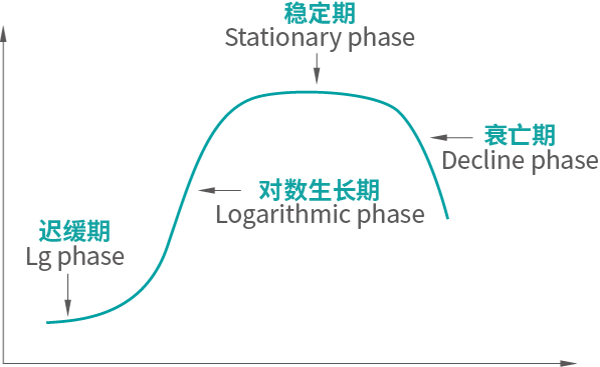 生長(cháng)規律