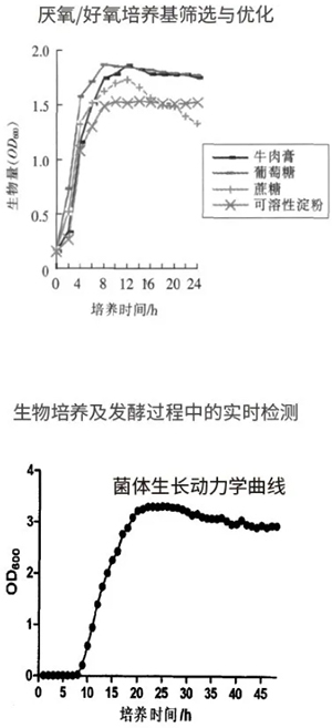 過(guò)程安全，結果精準