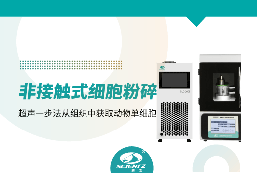 超聲波細胞破碎儀獲得動(dòng)物組織樣品單細胞電鏡檢測